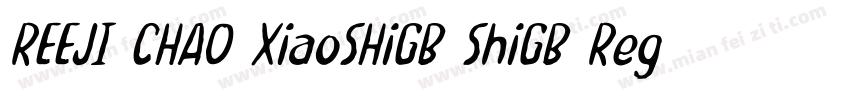 REEJI CHAO XiaoSHiGB ShiGB Regular字体转换